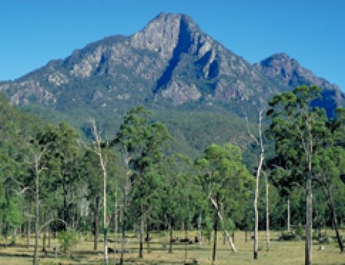 Mt Barney Daytour